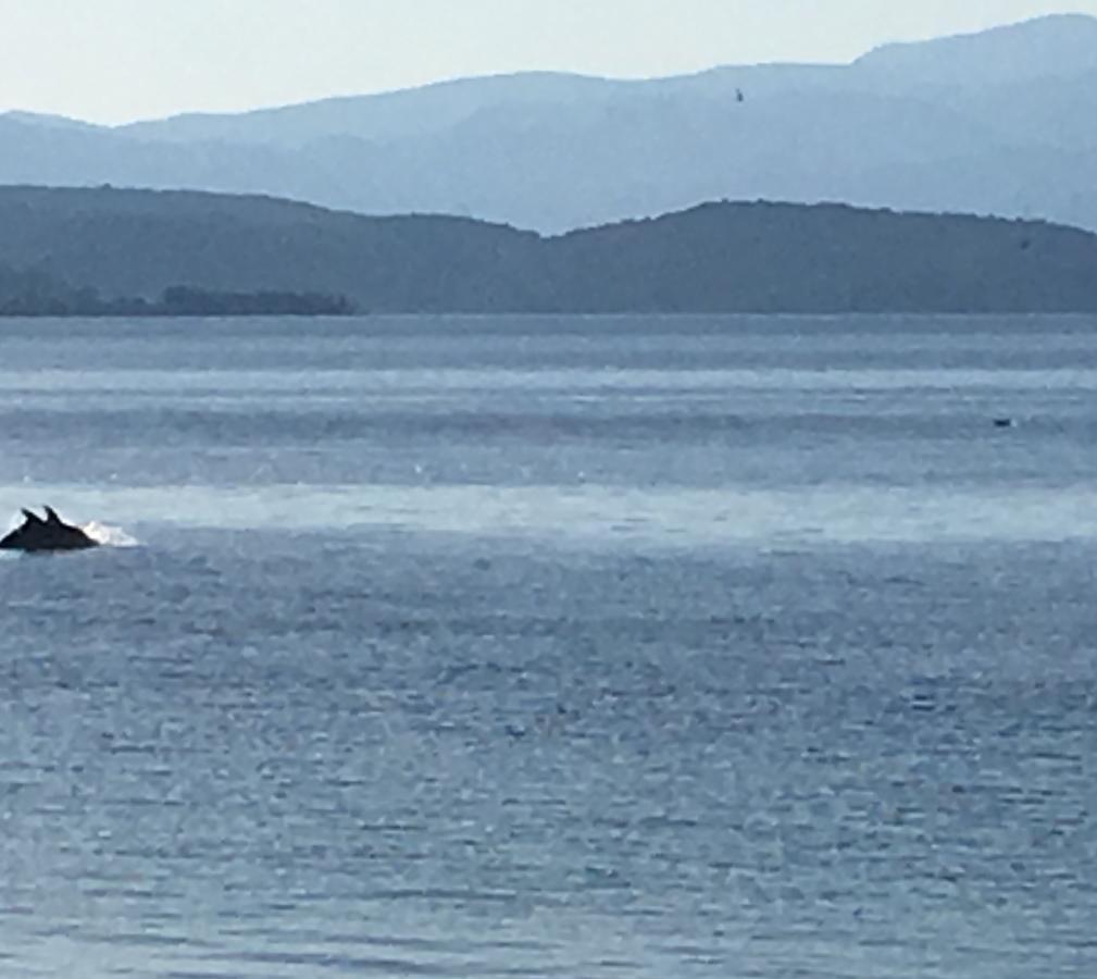 Maravellia Hotel Loutra Edipsou  Luaran gambar